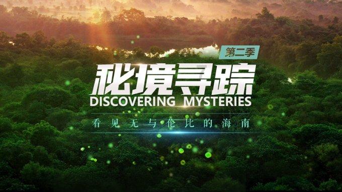 全民烧脑3去广告版