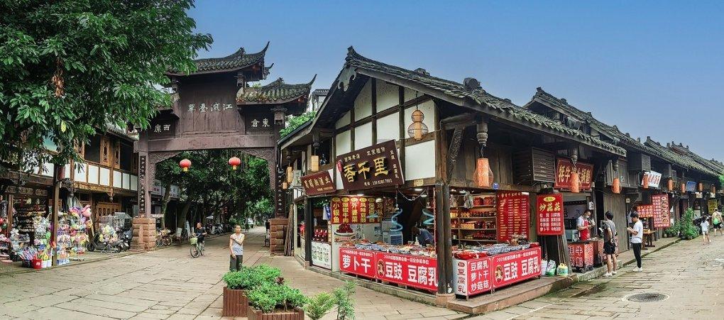 动物帮帮忙保卫家园